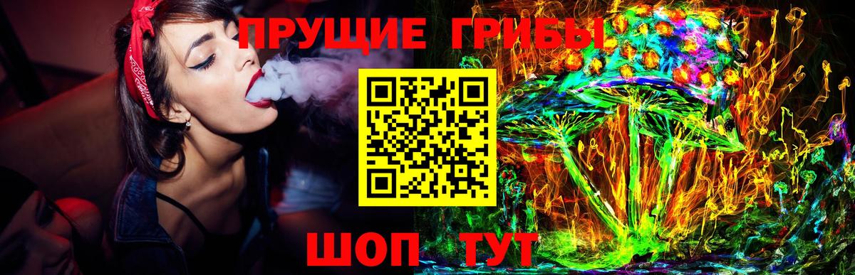 Галлюциногенные грибы MAGIC MUSHROOMS  Псилоцибиновые грибы Psilocybe  Ржев  Вход с VPN 